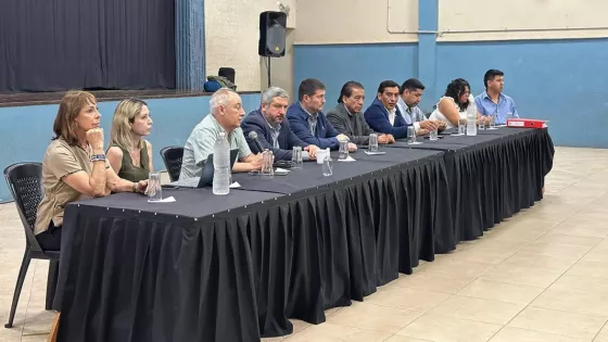 98586-el-gobierno-presento-el-plan-para-la-gestion-del-dengue-a-intendentes-del-sur-provincial