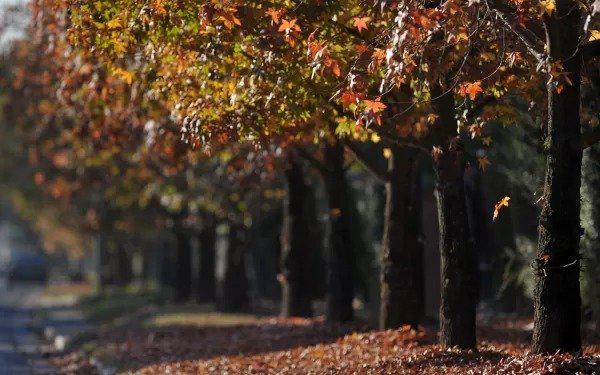 otoño
