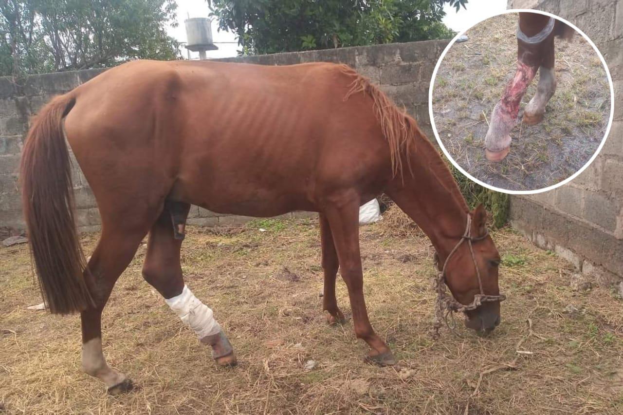 3dd7ffec-b0e4-4ed9-b560-013366f86bdb