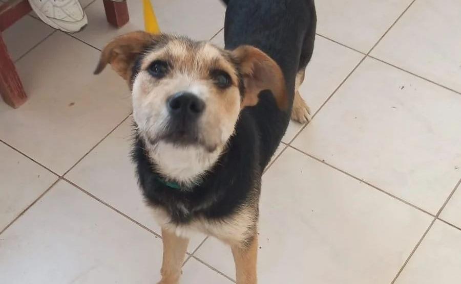 multimedia.normal.8114fe84a6e415da.NGVmMTc0YjYtOTVlZi00ODkyLWJhYjUtYzY4OWRlMDdfbm9ybWFsLmpwZw==