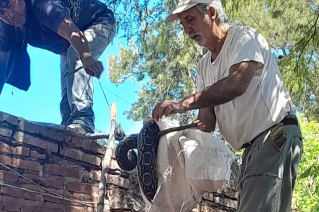 2f0fc1e2-d673-4615-9311-f5d9c8243722