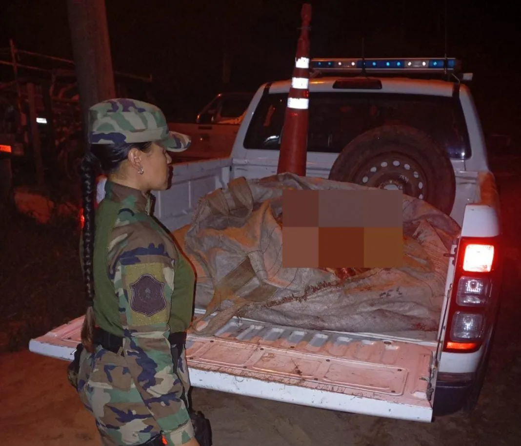 0b329916-a003-4684-a5a2-1cceeac4f79f