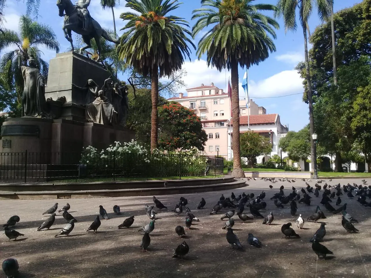 multimedia.normal.bae6f47cf36a0ed5.70616c6f6d615f6e6f726d616c2e6a7067