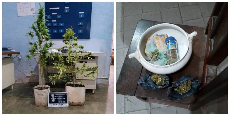 Captura de pantalla 2024-10-02 184128