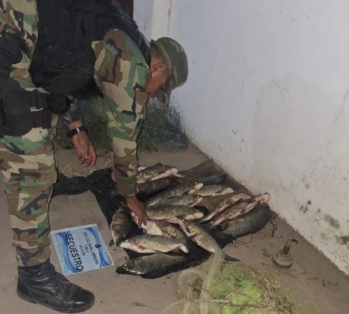 WhatsApp Image 2024-10-06 at 7.24.10 PM