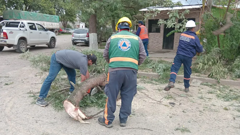 d2de77a4-5177-41b2-a687-f26ce3aae559