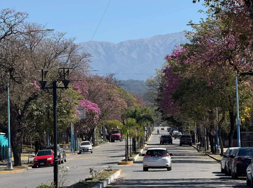 avenida Mitre