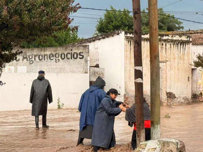 WhatsApp-Image-2026-01-07-at-20.48.36-696x522