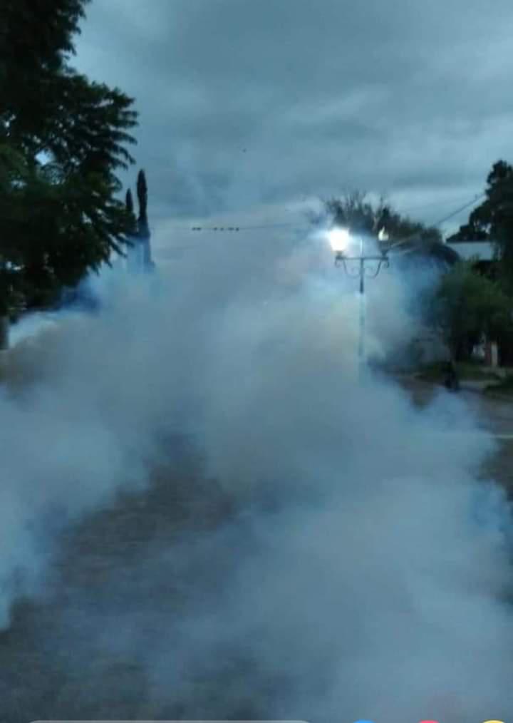 WhatsApp Image 2024-03-22 at 9.00.30 AM