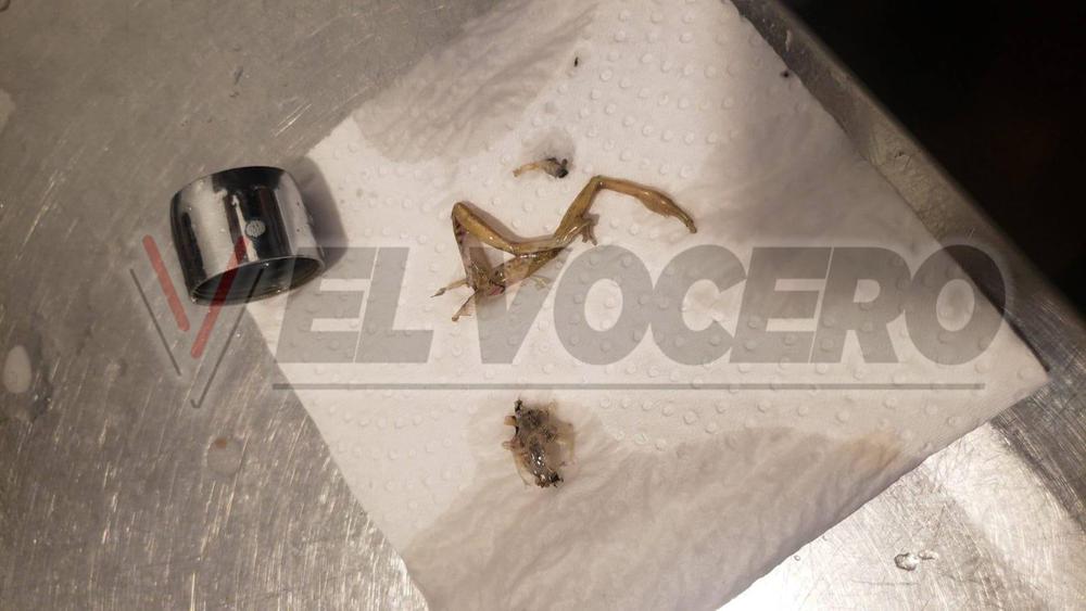 d2638914-fb38-442a-8f56-66f217b31ee1