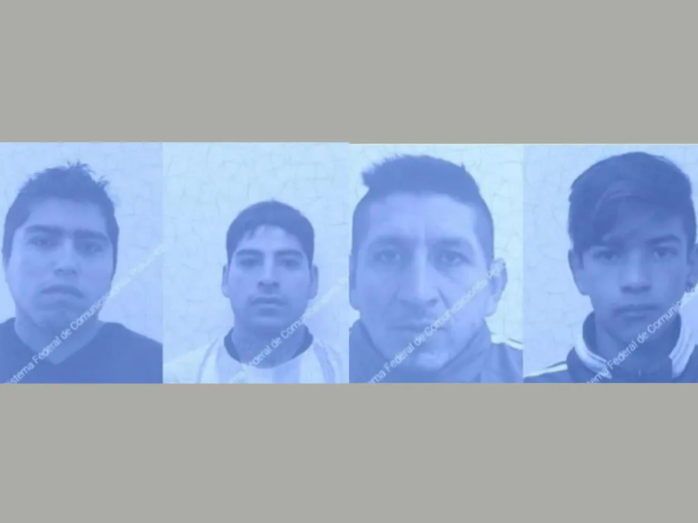 Polish_20241117_104754194