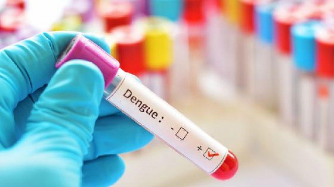 106231-hubo-una-leve-disminucion-de-casos-de-dengue-en-salta
