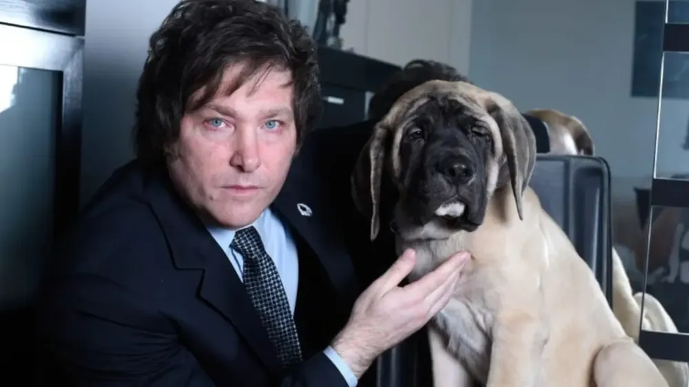 multimedia.grande.b68fb6912f5b41b0.V2hhdHNBcHAgSW1hZ2UgMjAyNC0xMi0yNyBhdCA3LjVfZ3JhbmRlLndlYnA=