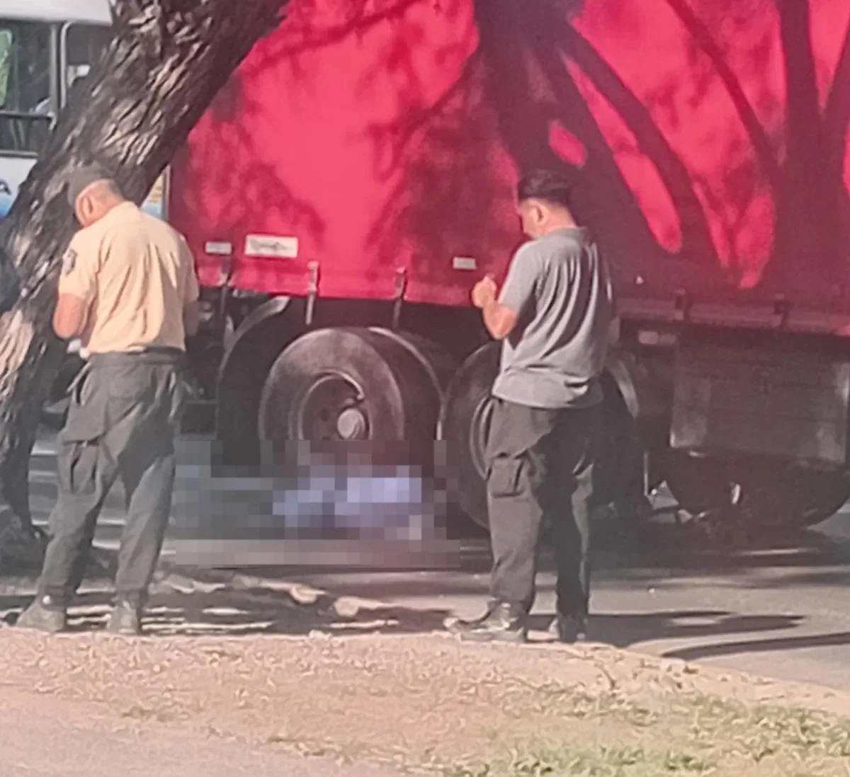 WhatsApp Image 2026-02-09 at 8.56.48 PM