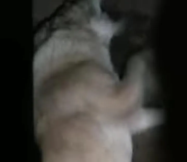 3b75b8fe-a546-46ae-be62-d8784653f4fc