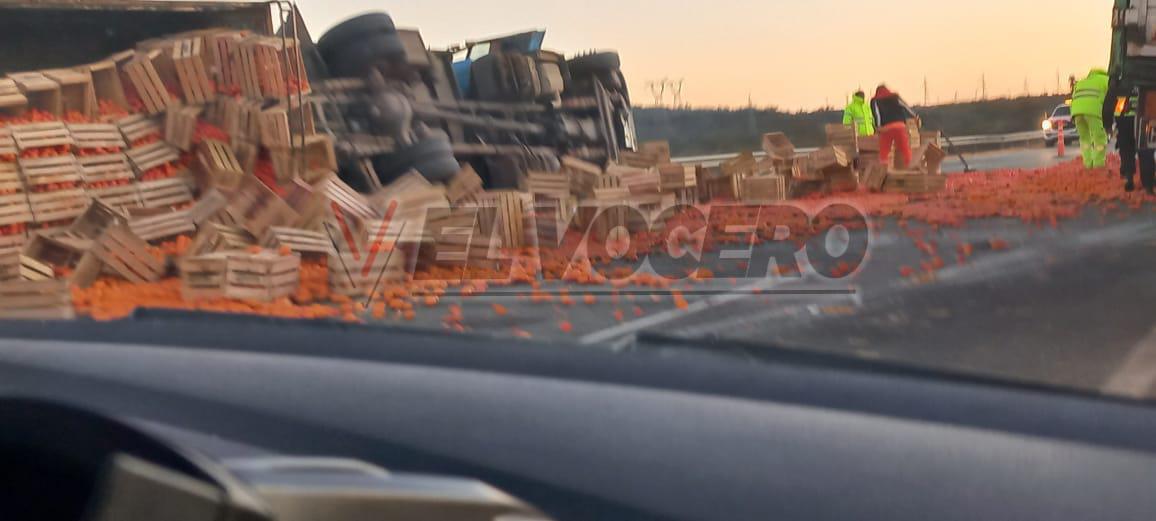 WhatsApp Image 2024-07-15 at 9.49.24 AM