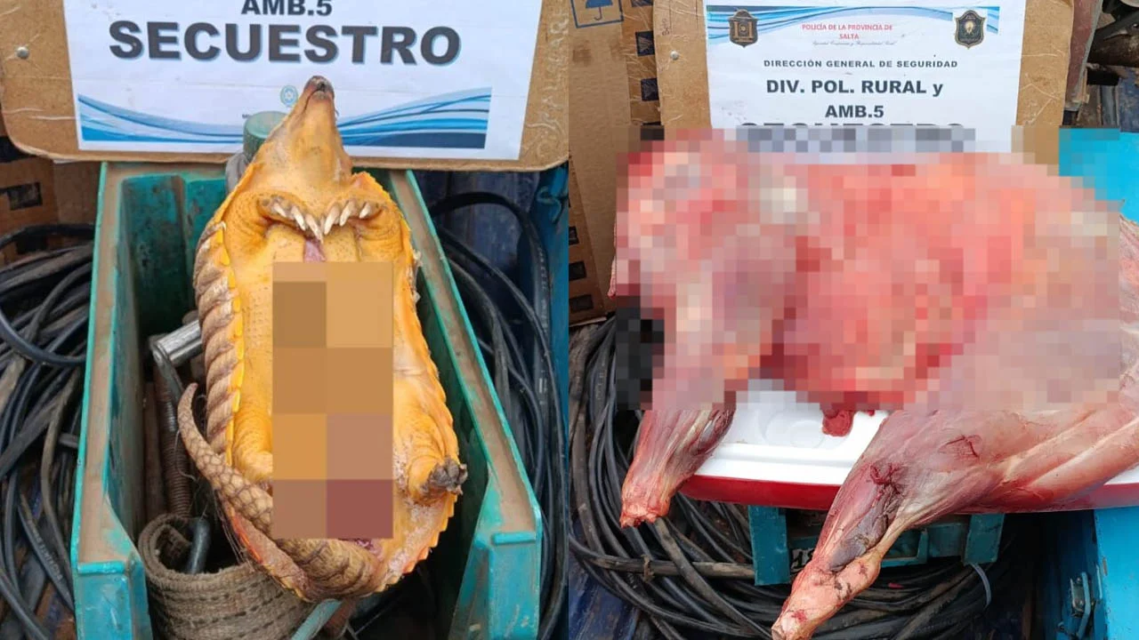 Sin título-1