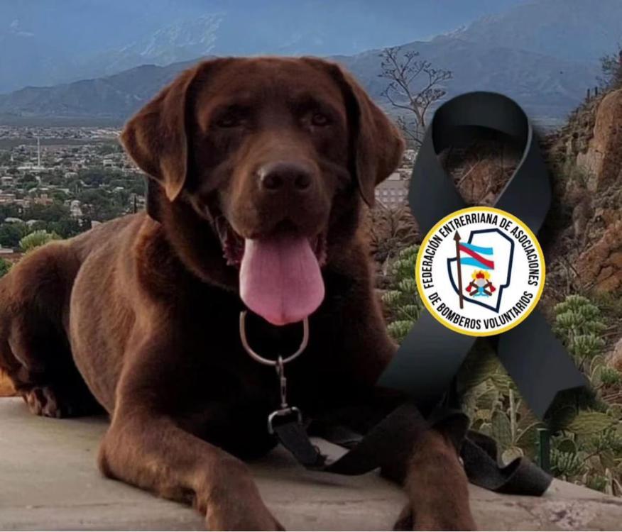 multimedia.normal.800088b5dc05f2ae.V2hhdHNBcHAgSW1hZ2UgMjAyNC0wNy0xNyBhdCA4LjNfbm9ybWFsLmpwZWc=