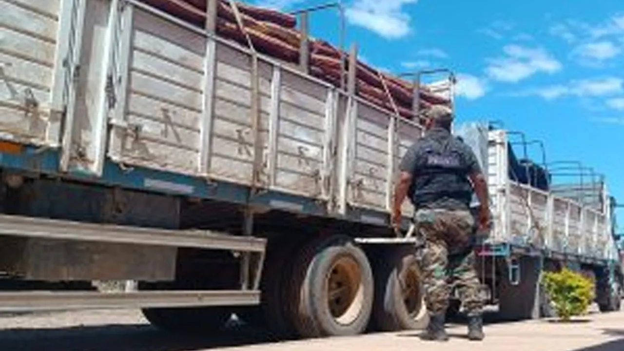 Sin título-1
