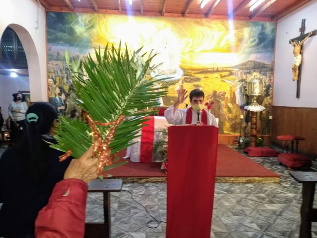 domingo de ramos