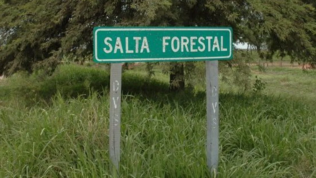 Sin título-1