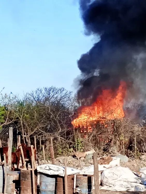 WhatsApp Image 2024-09-27 at 6.39.55 PM