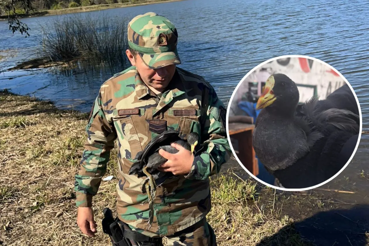 3c4a764a-1293-4518-9a02-3d33f6141396