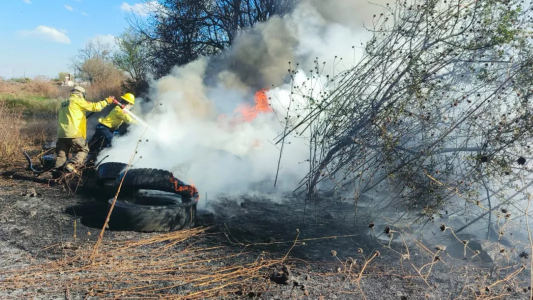 109534-controlaron-un-incendio-de-pastizales-en-la-ruta-provincial-24