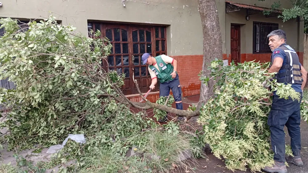 69f567a9-af52-47e6-a61f-31b91227f485