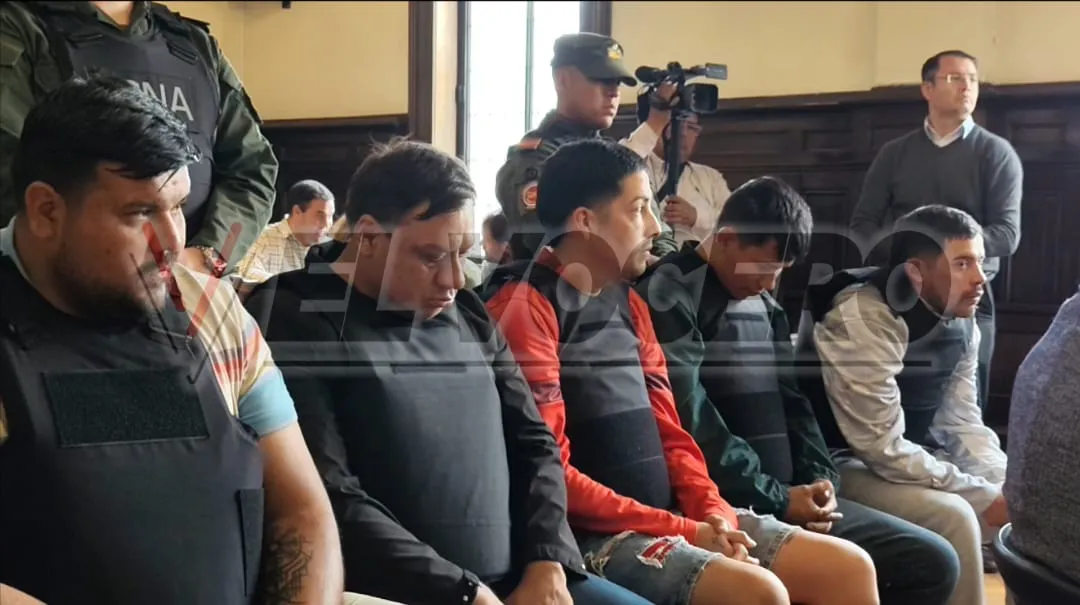 c82ed223-0213-4c9f-8062-74e4acfab13c