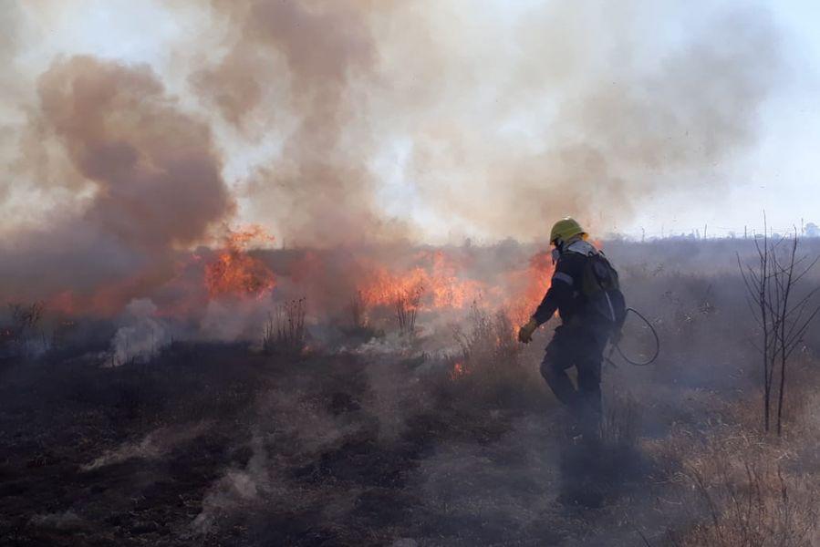 incendios forestales