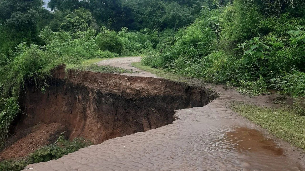 multimedia.normal.ba84bd9c35196475.bm9ybWFsLndlYnA=