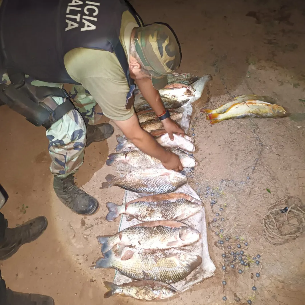 WhatsApp-Image-2024-12-07-at-12.25.18-PM-1068x1068