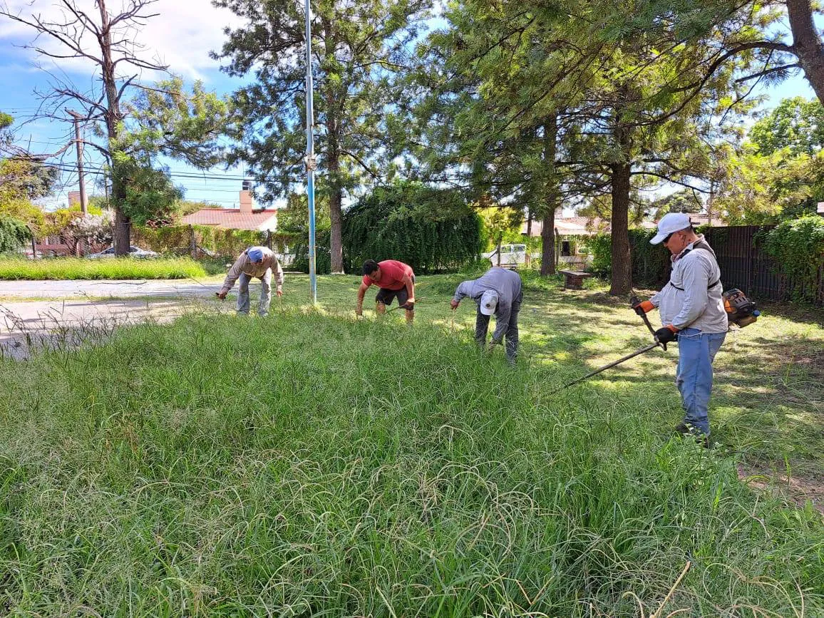 475977138_932864729032552_8425546610994199668_n