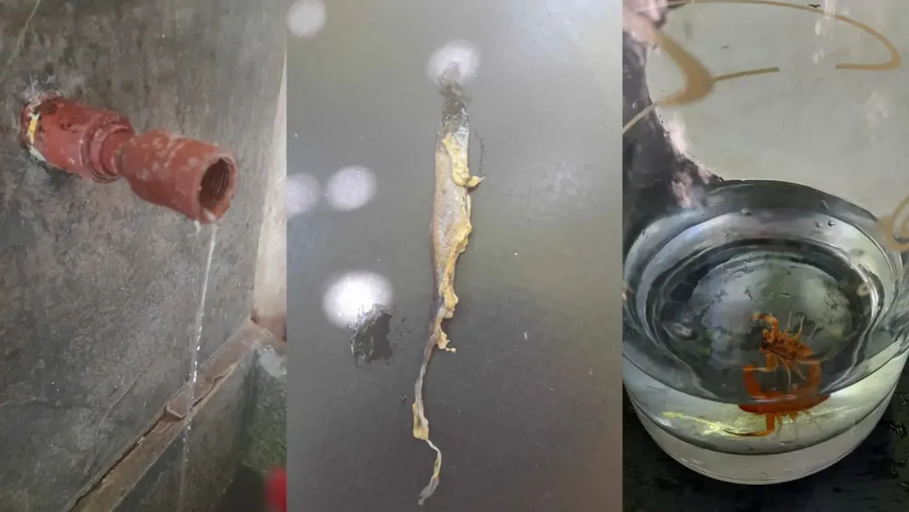 403b0f5f-4b34-40a2-9c93-25762cd9248e