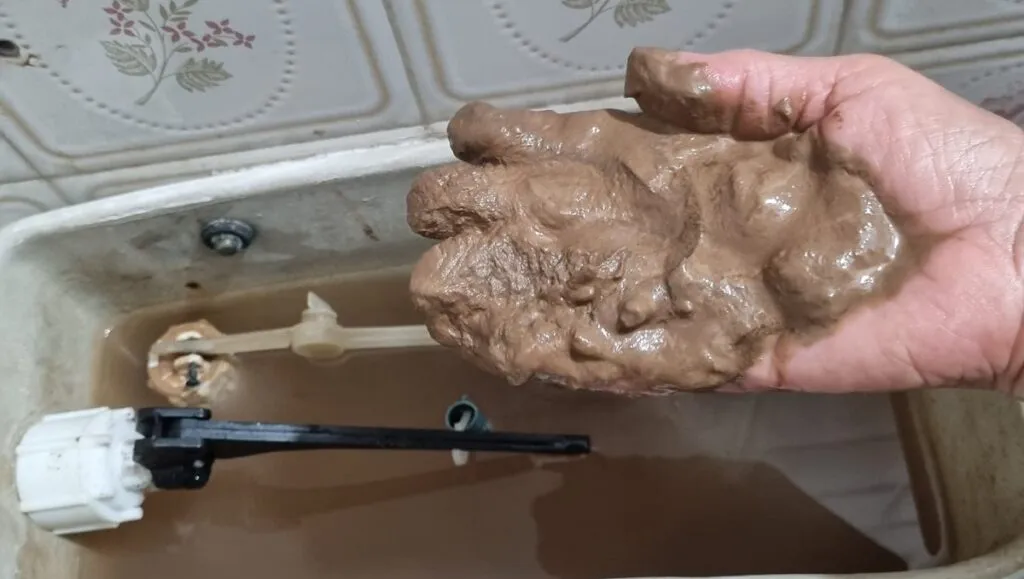 b3ef8d34-fe76-4bbe-8d84-da462e493559