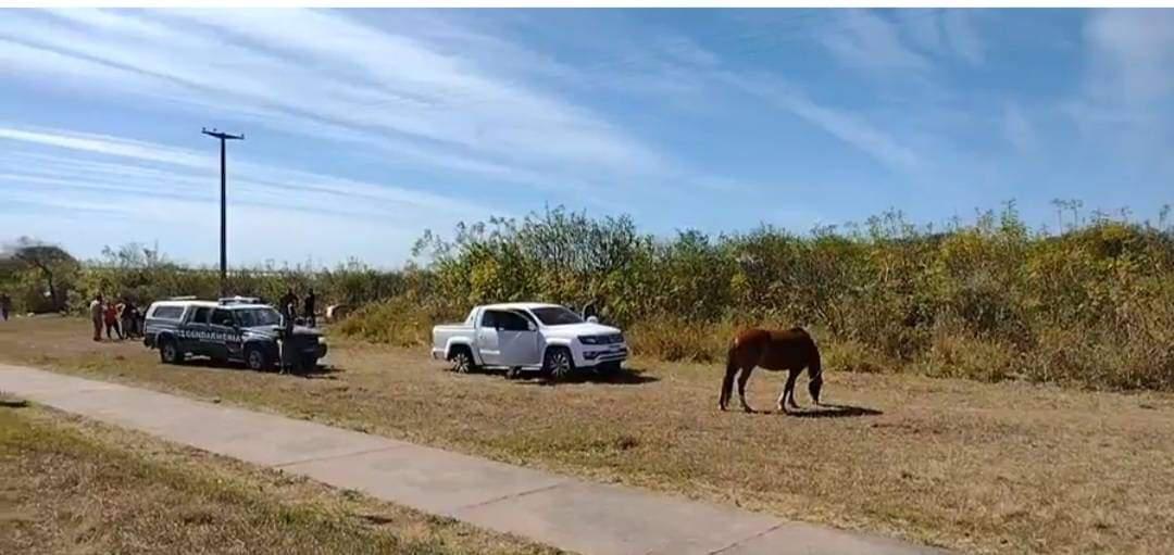 FB_IMG_1692648947695