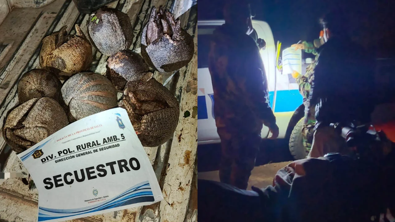 Sin título-1