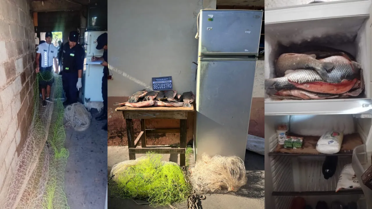 01319599-3c4f-4717-9c99-e3bfee82b1a4