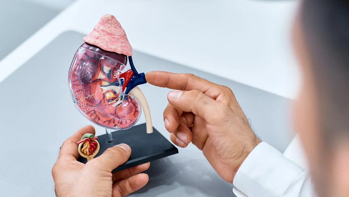 que-es-el-urologo-2-1200x676