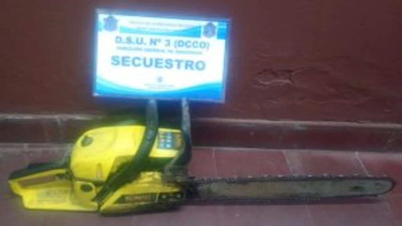 Sin título-1