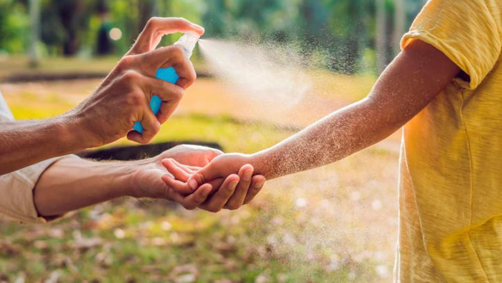 multimedia.normal.a85a82fece133cd4.V2hhdHNBcHAgSW1hZ2UgMjAyNC0wNy0xMCBhdCA4LjNfbm9ybWFsLmpwZWc=