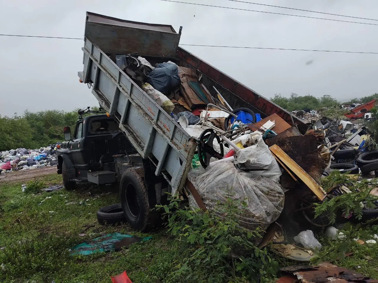 465222414_884494263785436_7135531151748049796_n