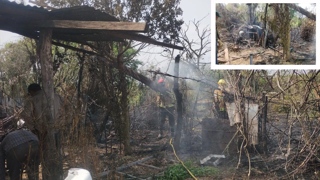 Polish_20241006_154612702