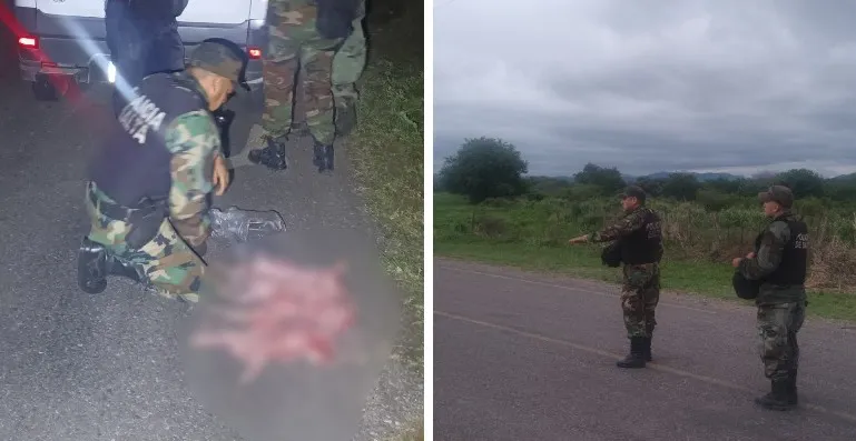 98b44528-e7c2-4e7d-8d94-0627c926d4ff