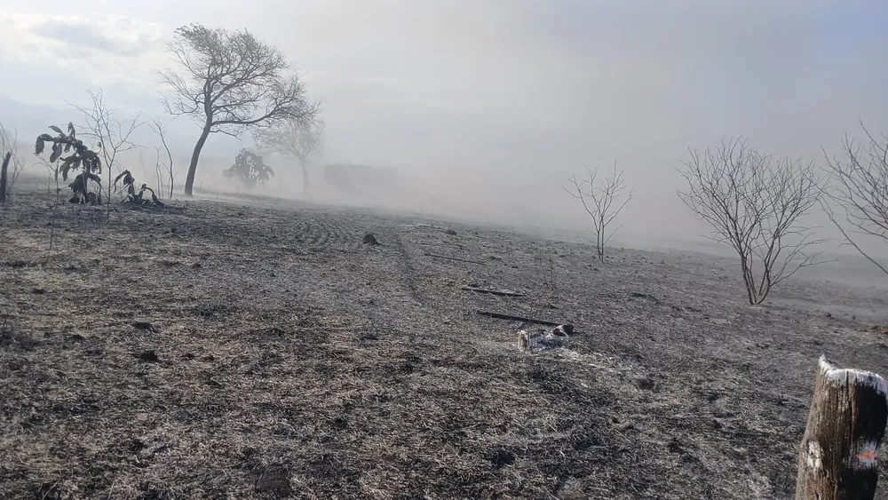 30958c03-c071-48c1-b7e6-603639bad5d4