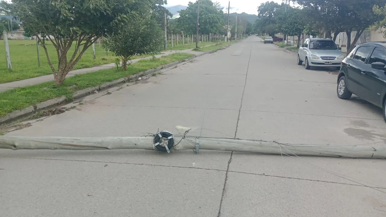 07ba31d3-a70d-4513-b1ca-df3fd94e65d9