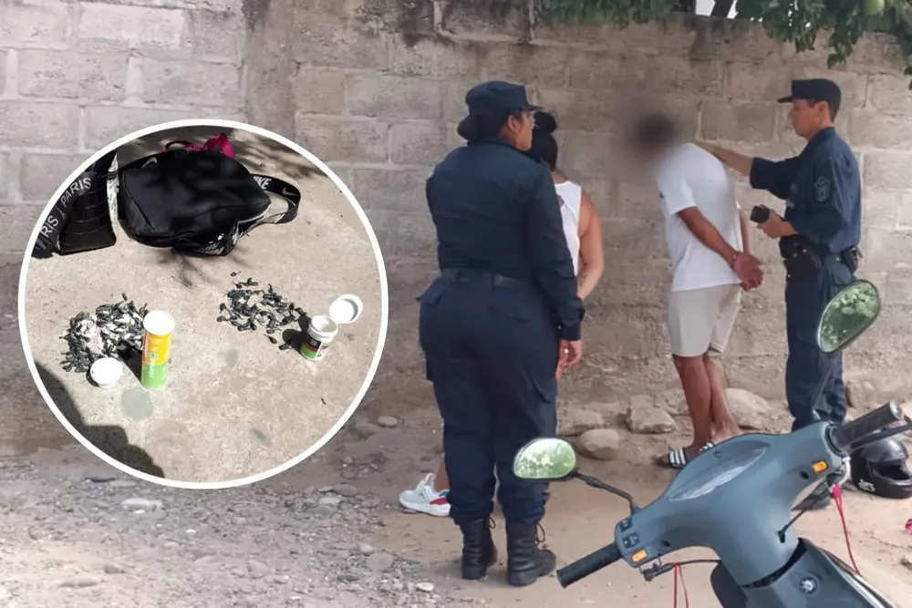 0f5de25a-c016-4291-95d8-f318e5527ebe