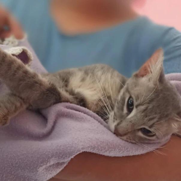 397082495_652491557069872_1385519557788641533_n