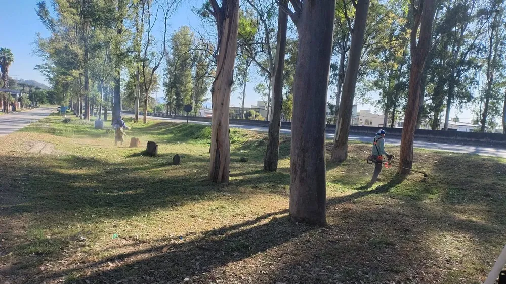 552630563_1106609514991405_2988384933131968838_n